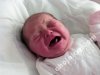 Amelia Kraut ur. 1.11.2009 r. godz. 9:46 waga 3660 g., dł. 58 cm