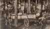Transport harcerskiego jachtu przez zaporę w Mylofie - lipiec 1933 r.