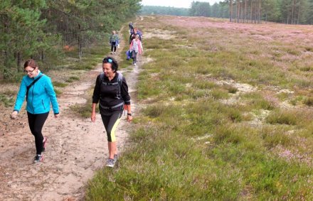 w trakcie wedrowki w trakcie wedrowki