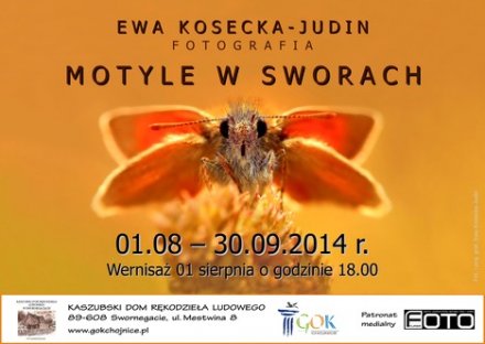ewa_kosecka_judin__wystawa ewa_kosecka_judin__wystawa