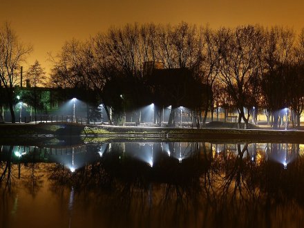Park noca Park nocą