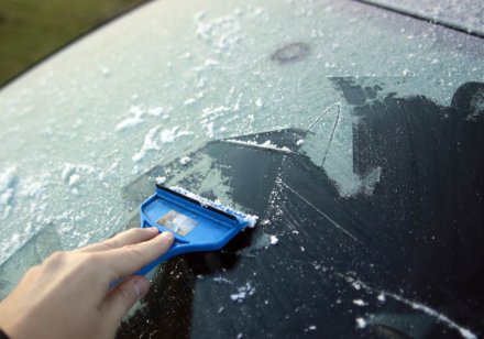 Przymrozek img_6871.jpg