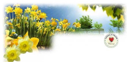 fundacja.jpg fundacja.jpg