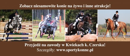 sportykonne_baner