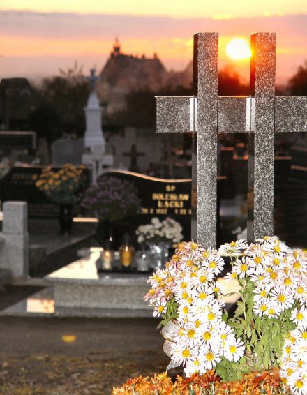 Listopadowa refleksja listopadowa_refleksja.jpg